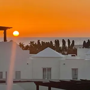 New Pistachio , Costa Teguise España